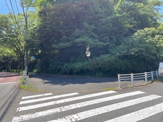 現地