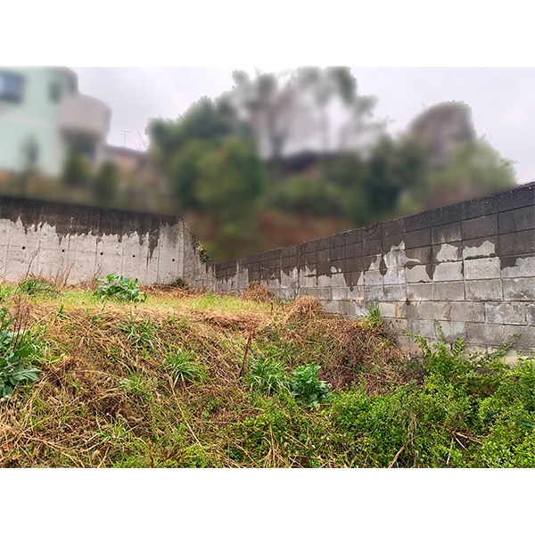 土地写真