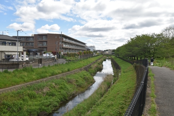 湯殿川の遊歩道です。ペットとの散歩にいいですね。