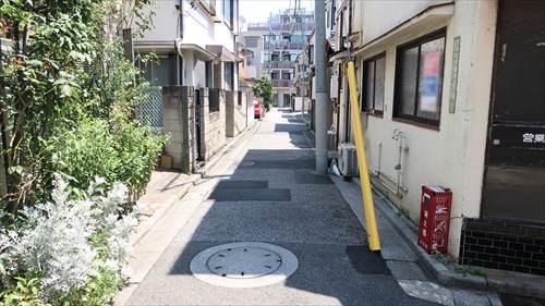 北側道路（物件：右手）