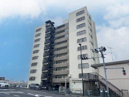 ニューハイツ中川の外観