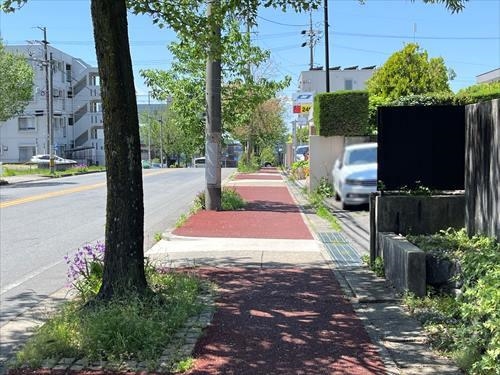 前面道路－１（令和６年４月撮影）