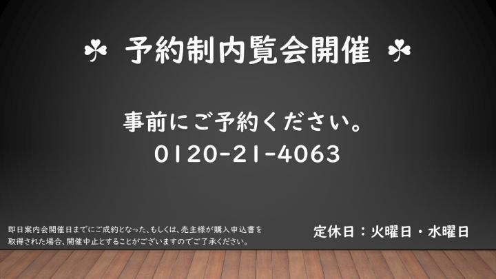2025年1月25日撮影