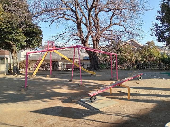 道路向かいの公園（市立椎の実公園）