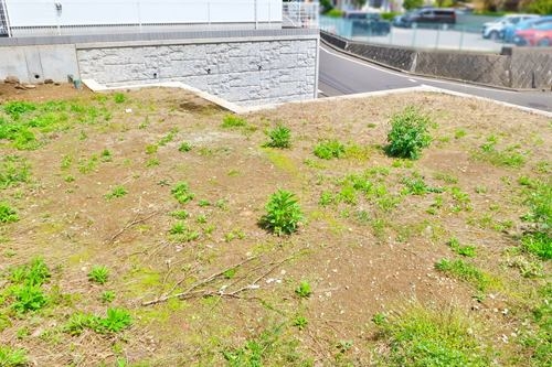 【現地写真２０２３年４月撮影】