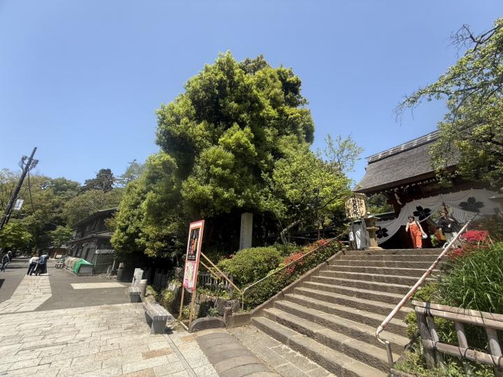 散歩コースにも適した「深大寺」約2.0km(徒歩25分)