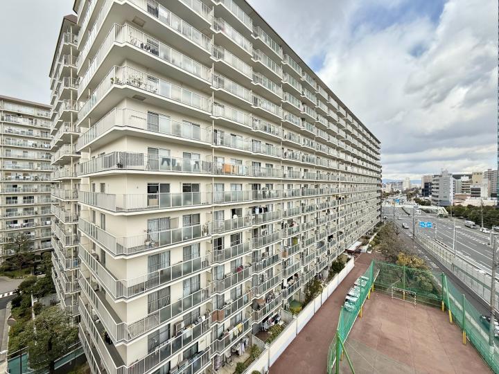 ２０２５年２月２０日撮影