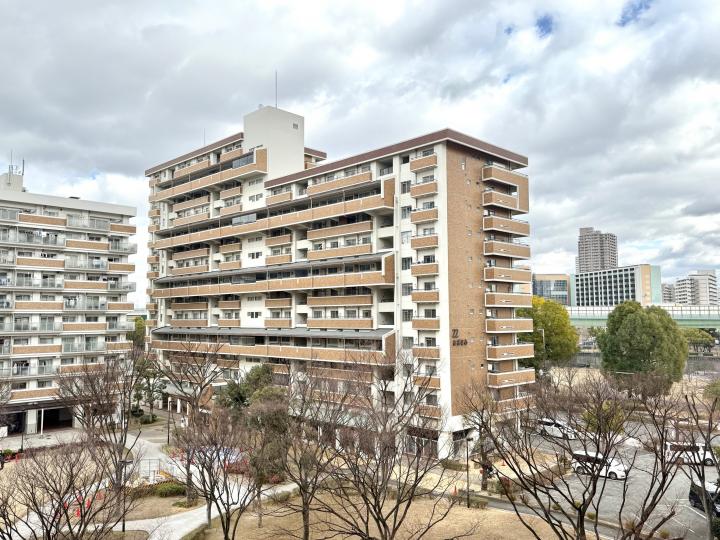 2025年2月20日撮影