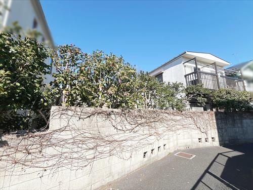 現地（２０２５年２月撮影）