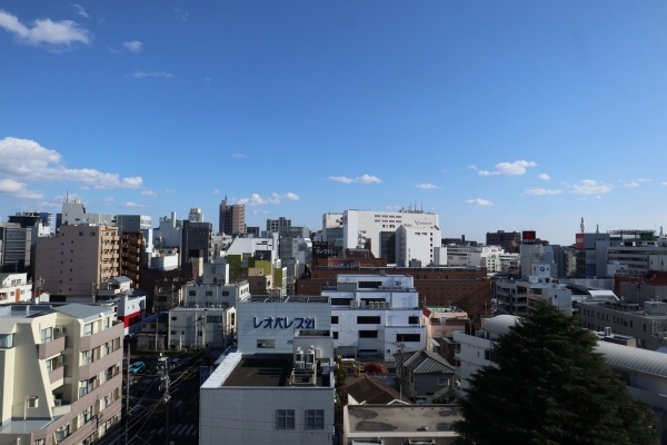 バルコニーからの眺め（眺望は永続的に保証されるものではありません）