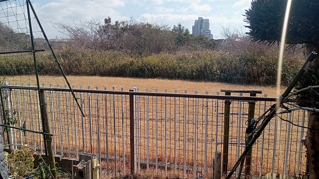 南東側調整池