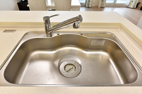 浄水器一体型・ハンドシャワータイプのキッチン水栓、およびディスポーザー付き！