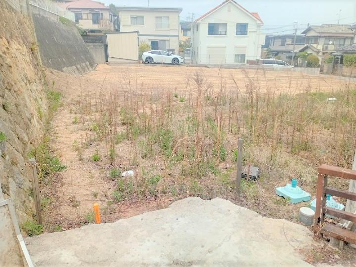 ２０２５年４月撮影