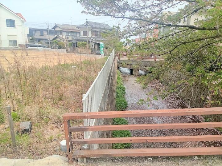 ２０２５年４月撮影