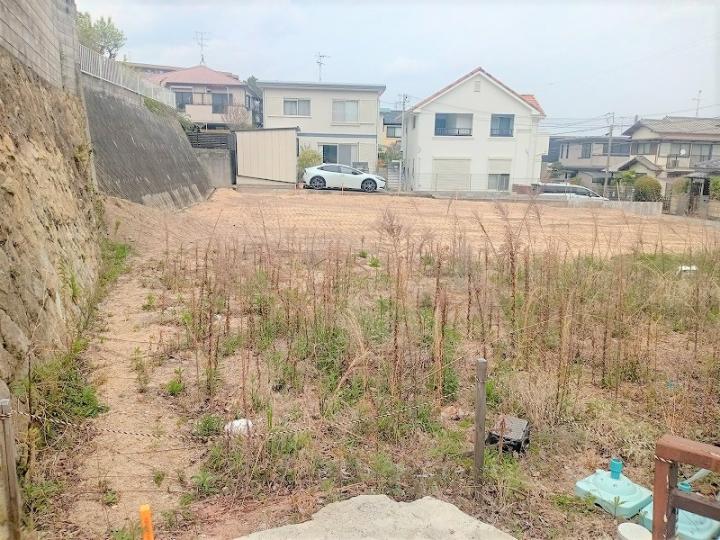２０２５年４月撮影