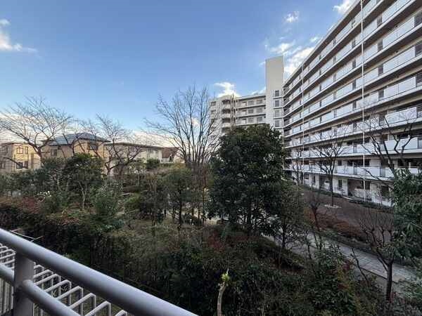 敷地内の中庭を望む南向き住戸。緑豊かな眺望が広がり、開放的。晴れた日には爽快な青空が楽しめます。