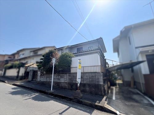 現地写真③（２０２５年３月撮影）