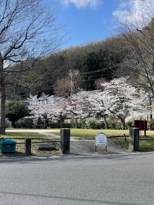 物件前の公園