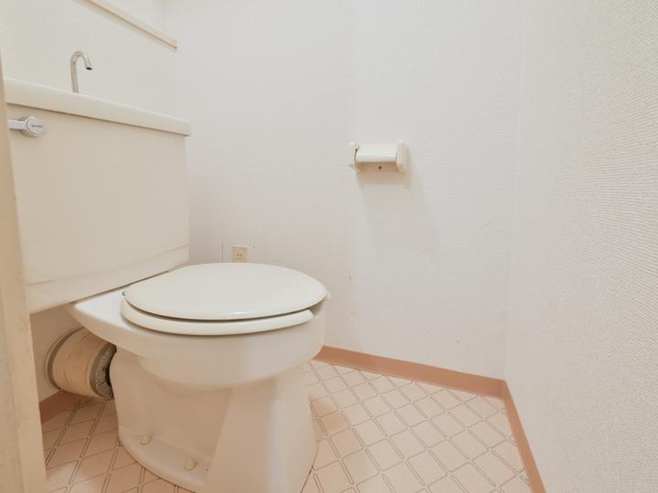 トイレ部分でございます