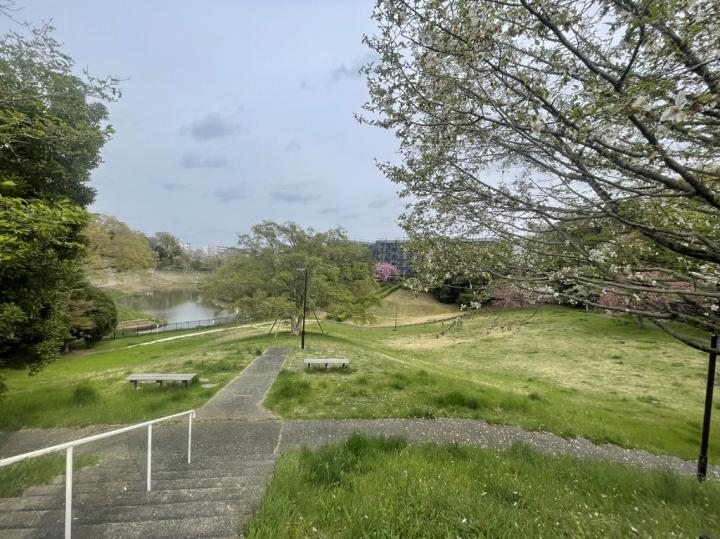 広々とした公園が近くにあります。
