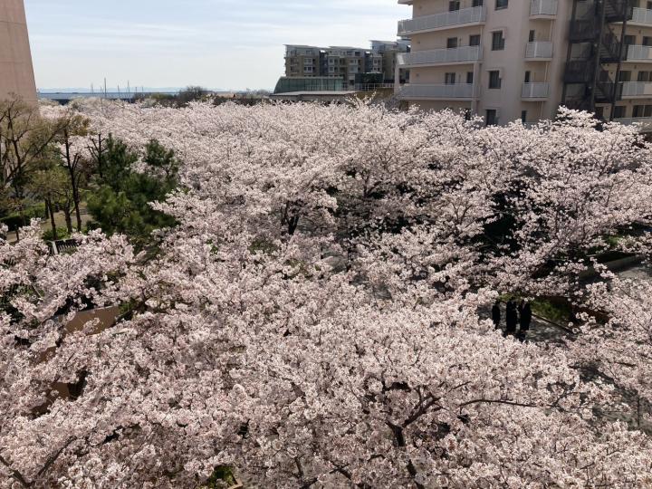 バルコニーからの眺望
