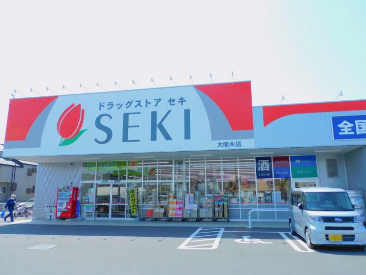 ドラッグストアセキ大間木店