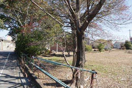 現地４（２０２３年２月撮影）