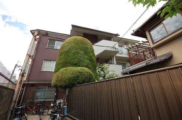 共同住宅の外観です