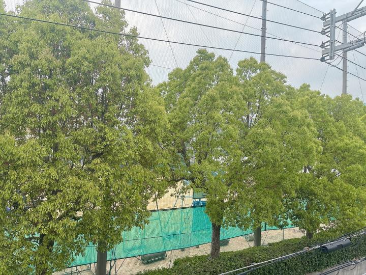 住戸からの眺望