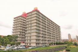 グリーンビューニュー川口の外観