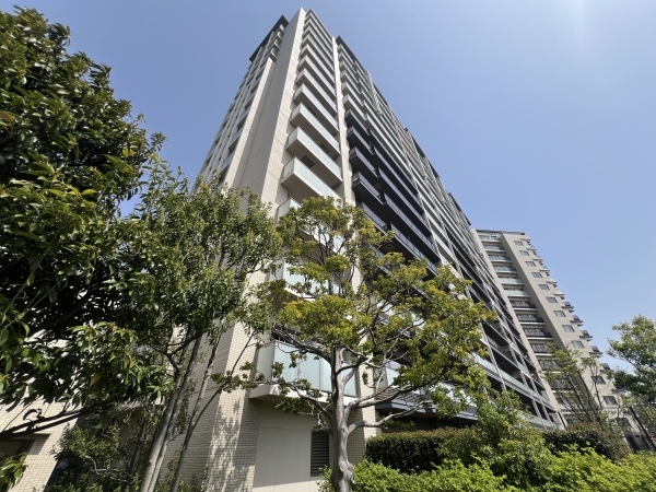 西側からの外観