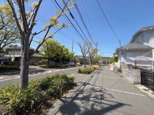 前面道路を含む現地写真