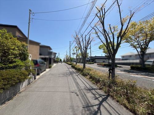 前面道路を含む現地写真