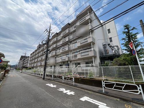 現地写真（２０２５年６月撮影）