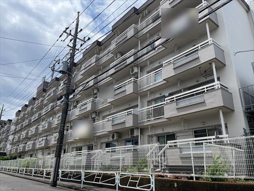 現地写真（２０２５年６月撮影）