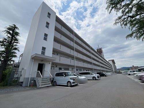 現地写真（２０２５年６月撮影）