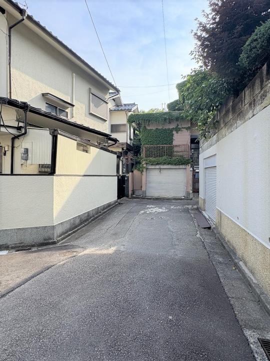 ２０２５年６月１９日撮影