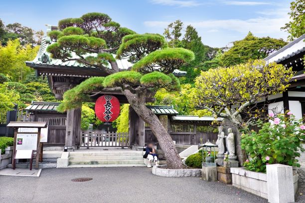 長谷寺(現地より約460m)