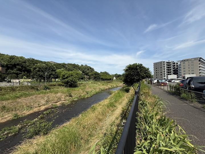 野川沿いのため緑が豊富です