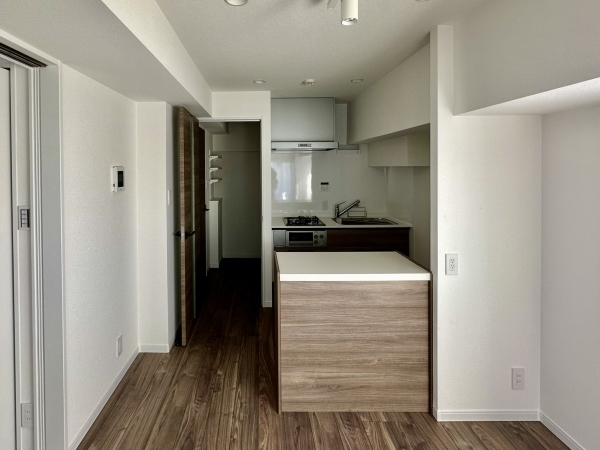 キッチンには収納付きカウンターがついてます