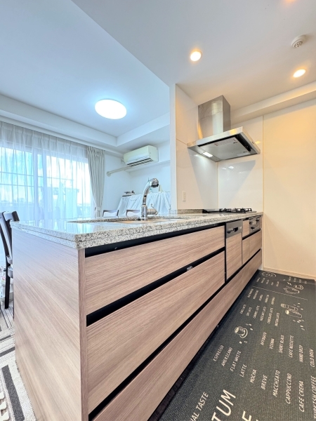 キッチンのカウンタートップには御影石天板を採用。その他食器洗い乾燥機、浄水機能付シャワー水栓等を設置