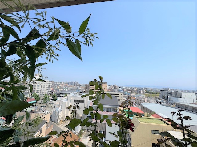 バルコニーよりの眺望