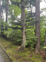 浅間ハイランド内 売地の外観