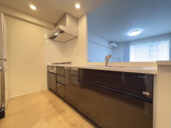 ディスポーザー、食器洗浄乾燥機、浄水器付の対面型オープンキッチン