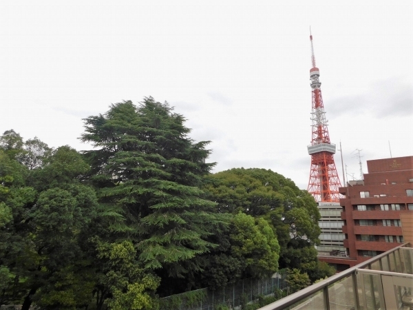 バルコニーからの眺望(眺望は永続的に保証されるものではありません)