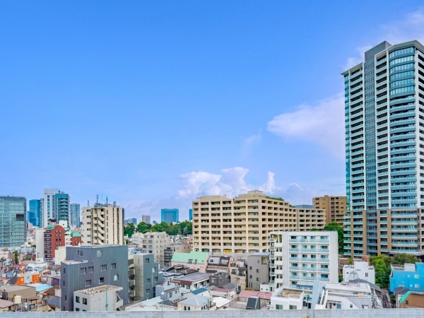 南東向きバルコニーからの眺望(眺望は永続的に保証されるものではありません)