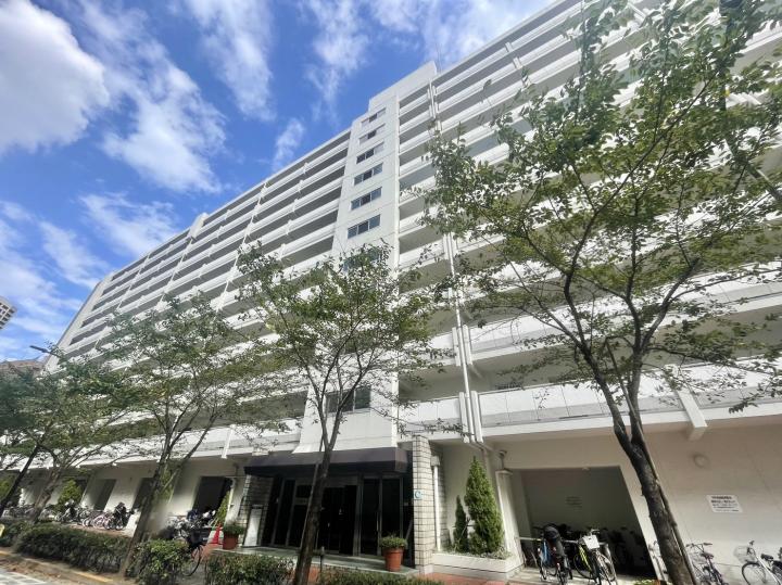 白を基調とした外観