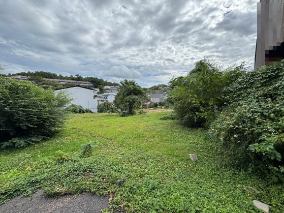 敷地西側から対象物件を臨む