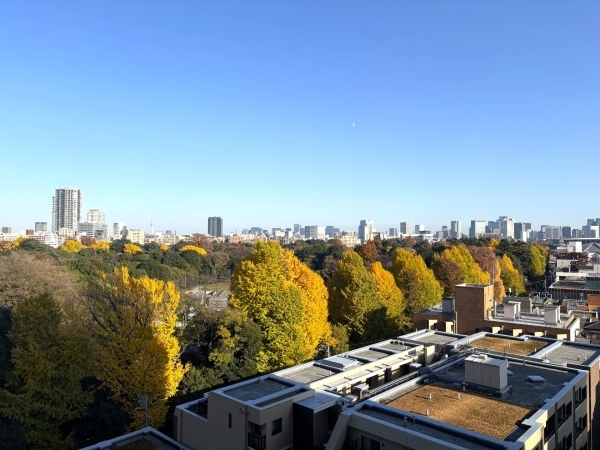 北東側バルコニーからの眺望 眺望は永続的に保証されるものではございません。