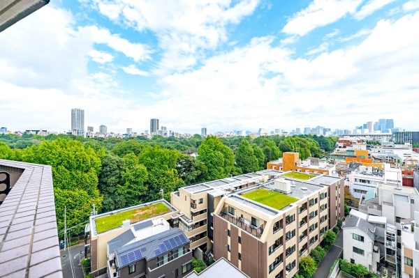 北東側バルコニーからスカイツリーを望みます。眺望は永続的に保証されるものではございません。